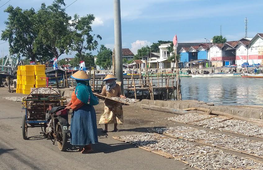 Pasuruan Bergelut dengan Kedaulatan Laut: Antara Perjuangan Nelayan dan Harapan Ekonomi Maritim