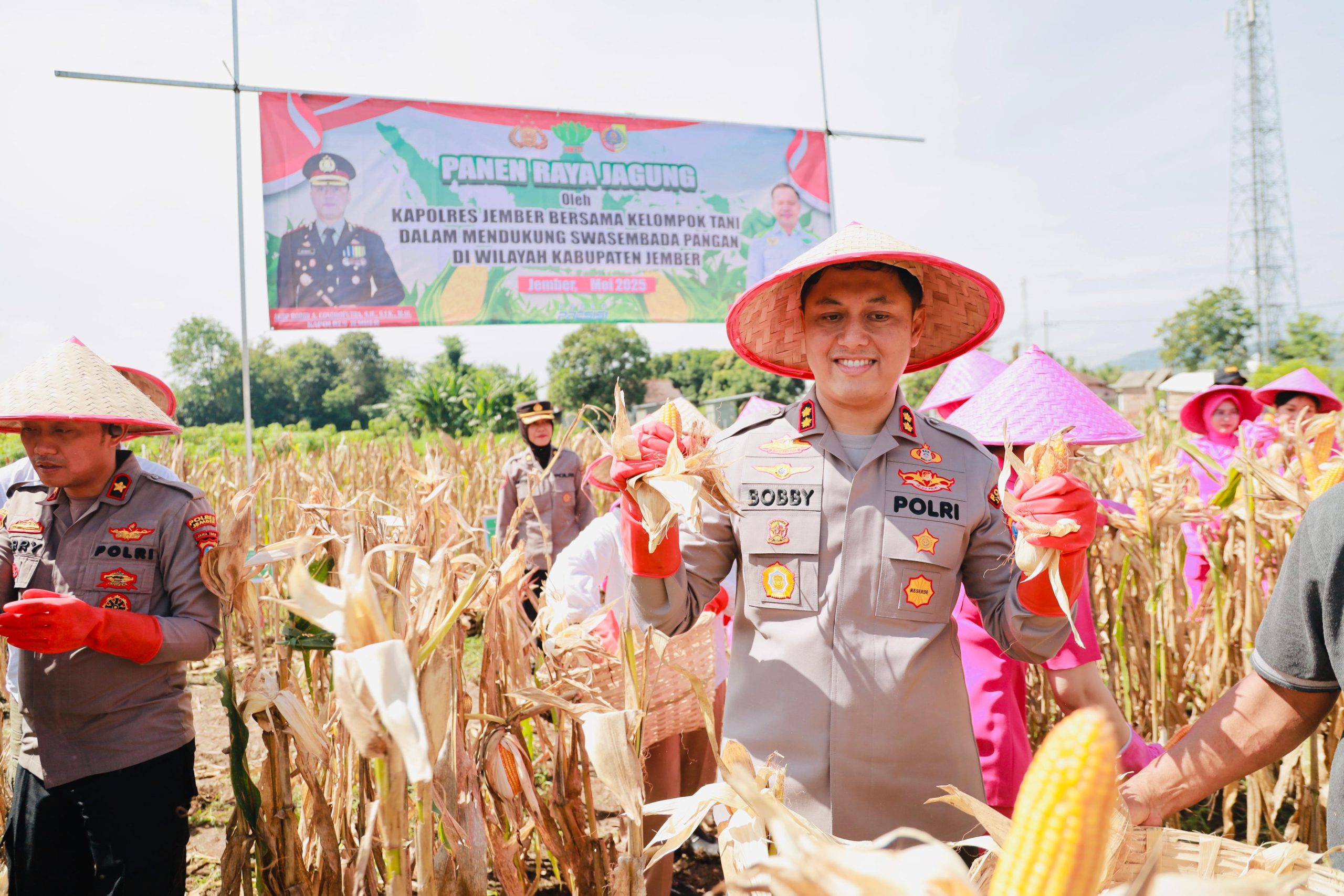 GARENG PETRUK NEWS NETWORK (GPNN): “Kapolres Jember Turun Sawah, Panen Jagung Bukan Panen Kasus!”