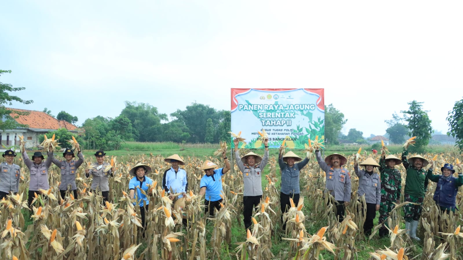 GARENG PETRUK NEWS NETWORK (GPNN): “Panen Jagung Tahap Dua: Polres Bangkalan Nandur Bukan Cuma Nangkep!”