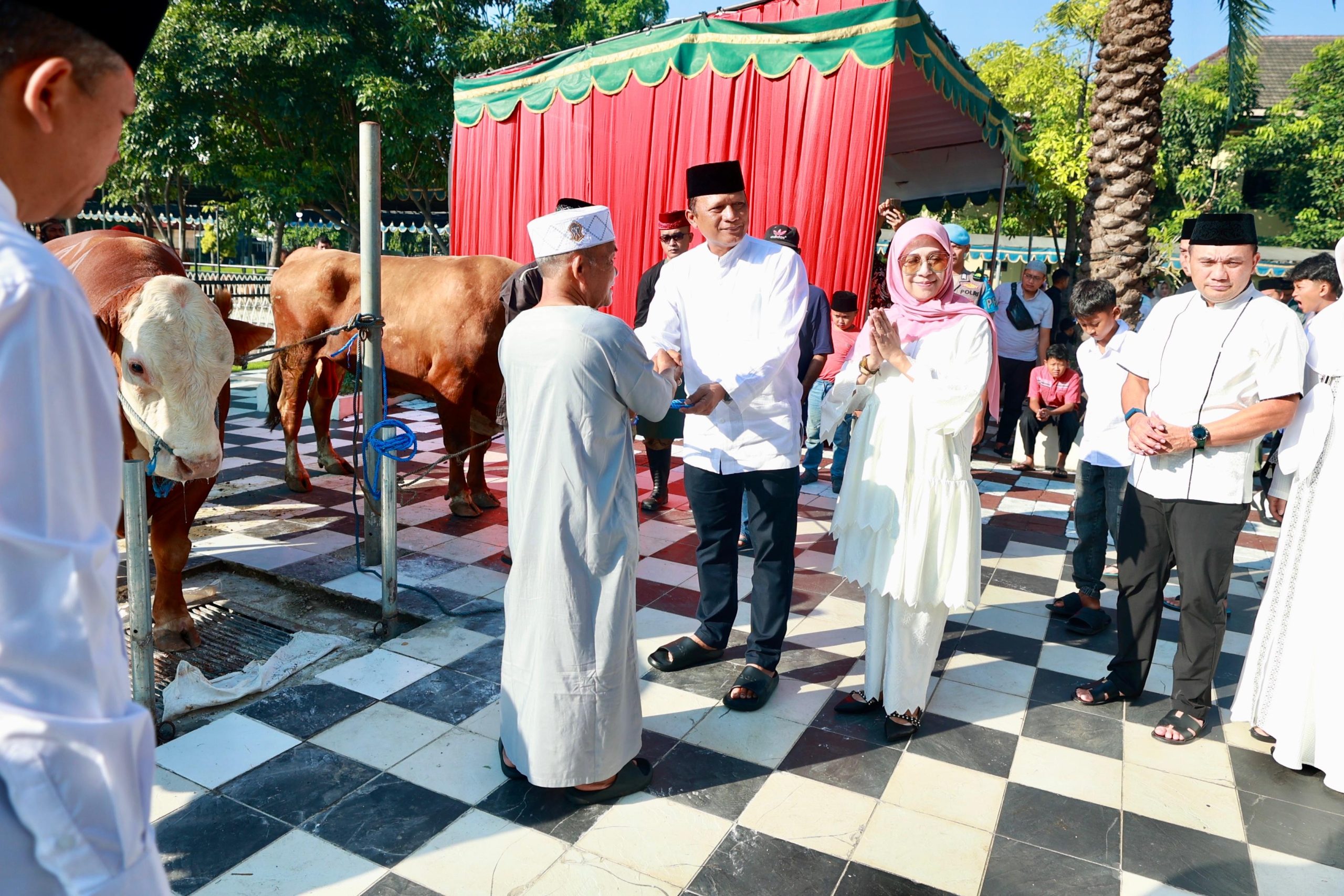 Polda Jatim Kurban 400 Sapi: Antara Presisi dan Persensi Pahala