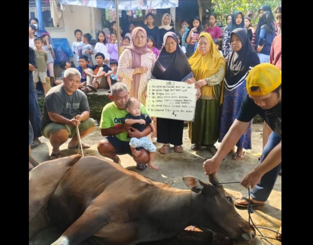 GARENG PETRUK NEWS Edisi Spesial Idul Adha “Qurban Ciputat: Sapi Menangis, Warga Senang, Dompet Peternak Meringis”
