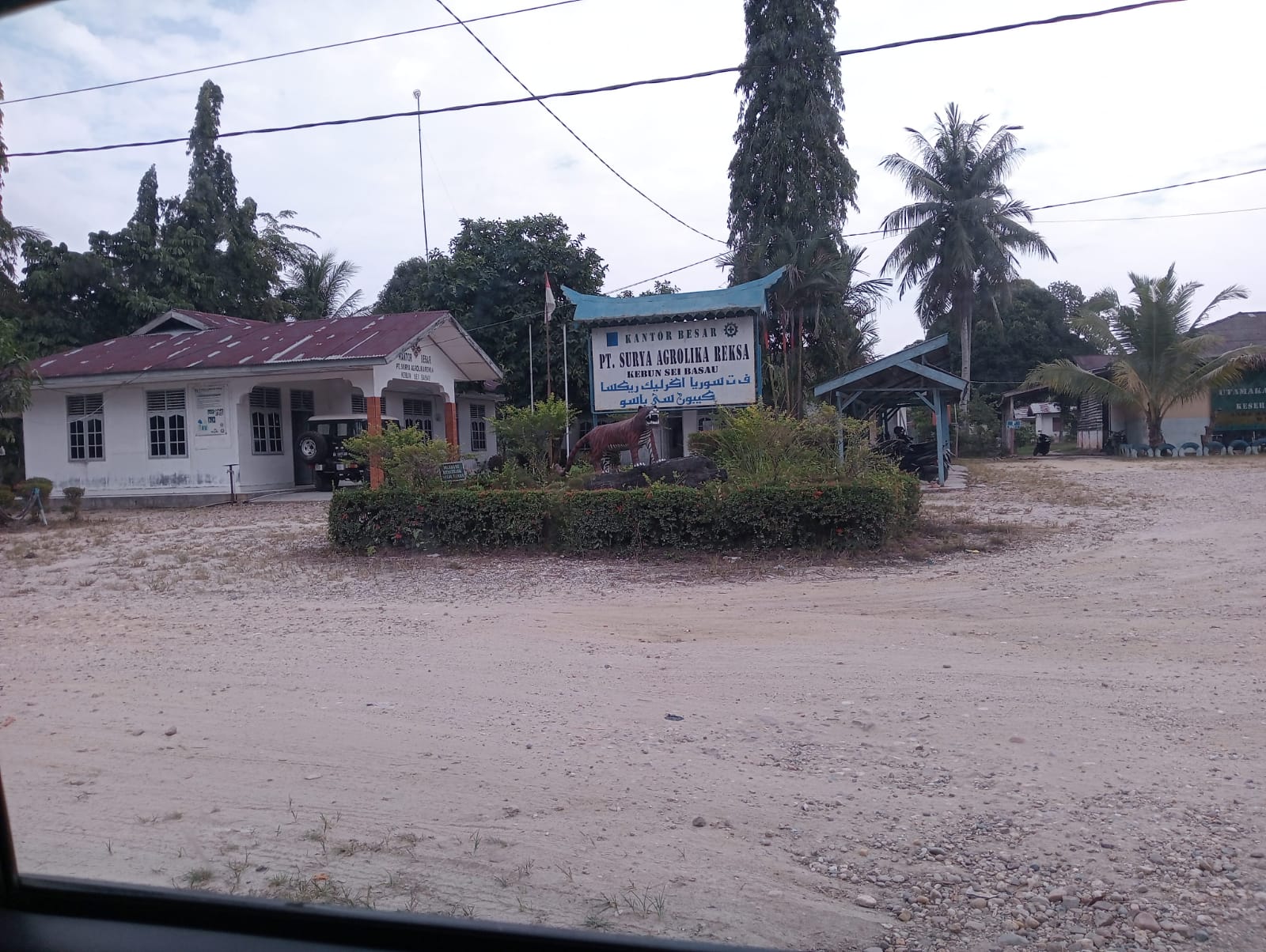 Ket Foto: Kawasan perkembunan PT. Surya Agrolika Reksa.