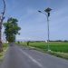 Lampu Jalan di Klaten Mati, Warga Mulai Khawatir, Hantu pun Bingung Mau Nongol di Mana