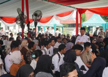 Job Fair Pasuruan: Ribuan Pelamar, Ratusan Lowongan, dan Segudang Harapan di Gedung Harmonie!